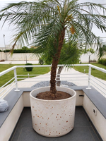 Vaso Tondo Circ - Notaro Manufatti