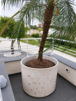 Vaso Tondo Circ - Notaro Manufatti