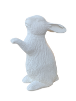 Coniglio In Piedi - Notaro Manufatti