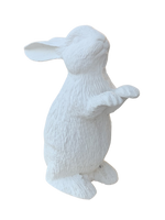 Coniglio In Piedi - Notaro Manufatti