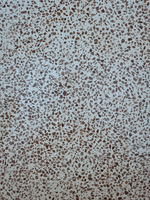 Pila Salento Completa in Graniglia di Marmo Rosso Verona - Notaro Manufatti