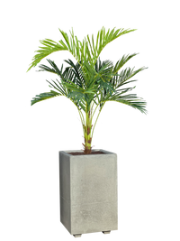 Vaso Alto Modello Linea Grigio Industrial 50x50x80h | Design Moderno da Esterno