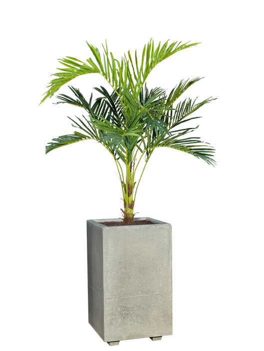 Vaso Alto modello Linea da cm. 50x50xh.80 - Cemento Grigio - Notaro Manufatti