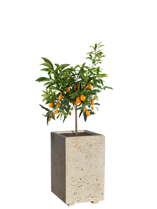 Vaso Alto modello Linea da cm. 50x50xh.80 - Effetto Travertino - Notaro Manufatti