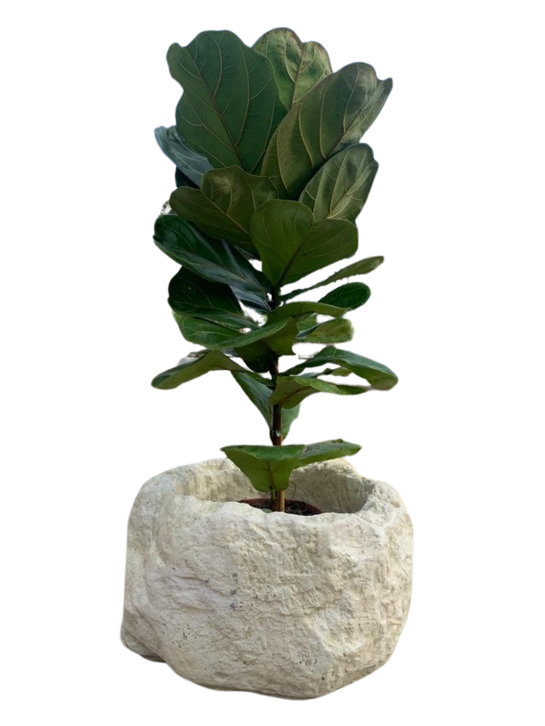 Vaso Sasso Tondo Alto Anticato Beige - Notaro Manufatti