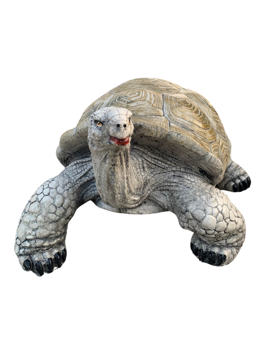 Tartaruga Nap - Notaro Manufatti