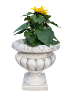 Vaso Ciano Anticato Grigio - Notaro Manufatti
