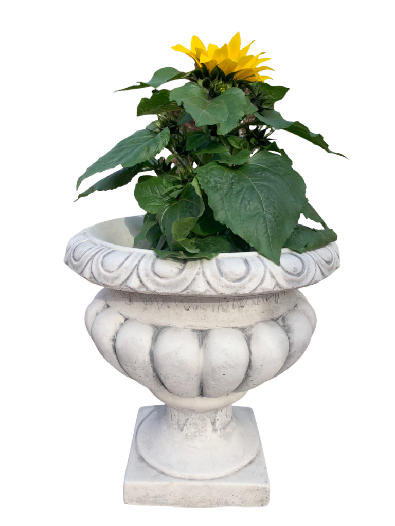 Vaso Ciano Anticato Grigio - Notaro Manufatti