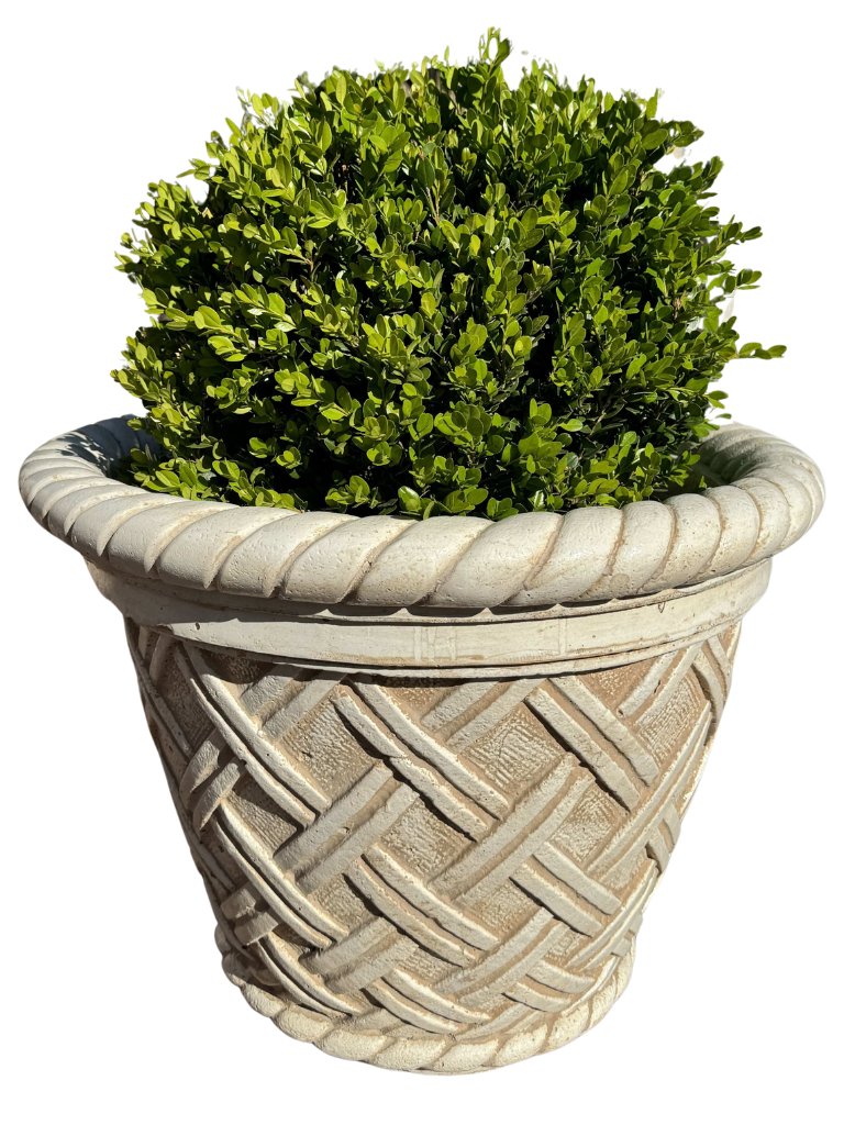 Vaso Renazzo Tondo Grande Anticato Beige - Notaro Manufatti