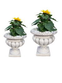 Vaso Ciano Anticato Grigio  in cemento per piante | Stile classico romano da esterno