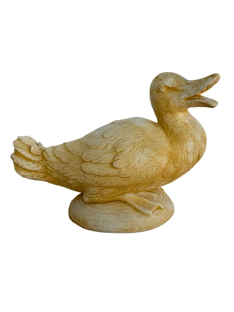 Oca Seduta - Notaro Manufatti