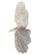 Aquila Gigante In Cemento - Notaro Manufatti