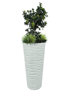 Vaso Onda Tondo - Bianco - Notaro Manufatti