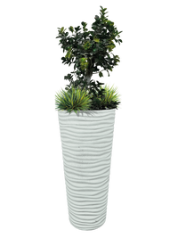 Vaso Onda Tondo - Bianco