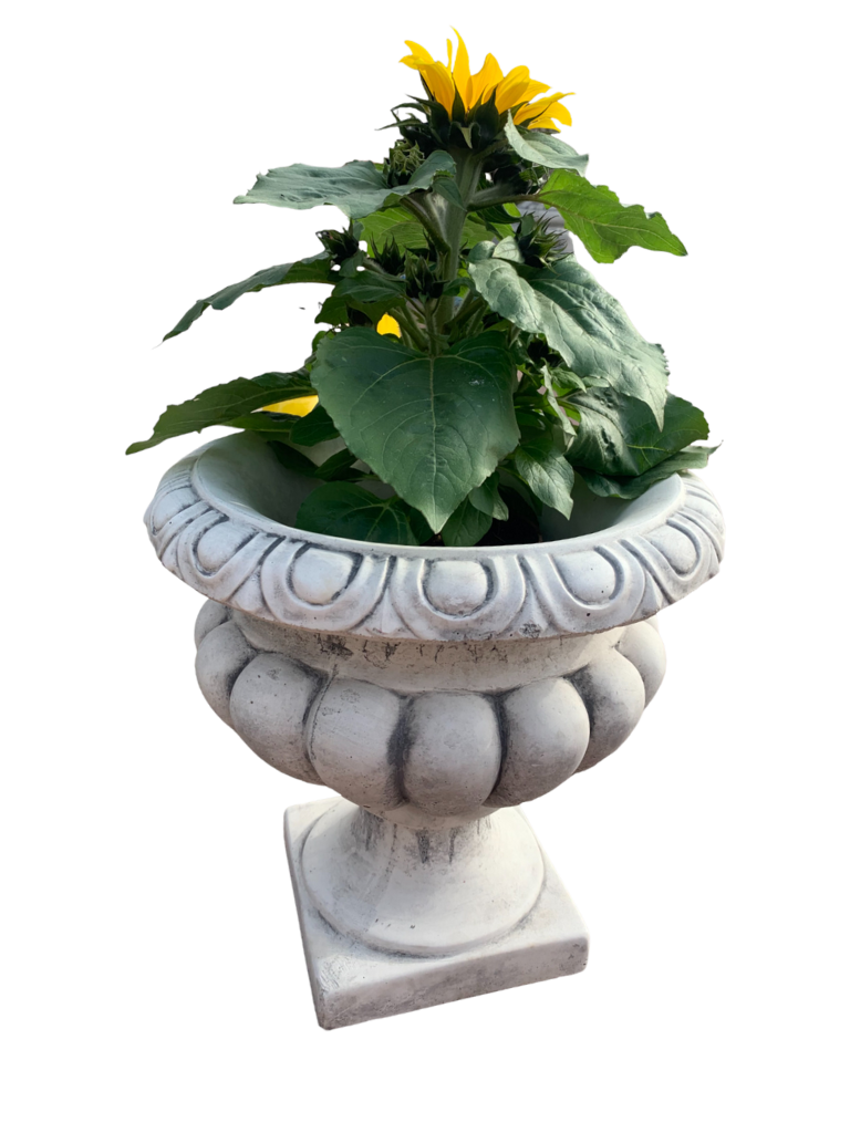 Vaso Ciano Anticato Grigio - Notaro Manufatti