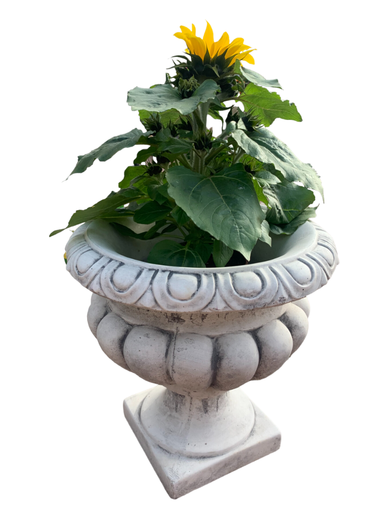 Vaso Ciano Anticato Grigio - Notaro Manufatti