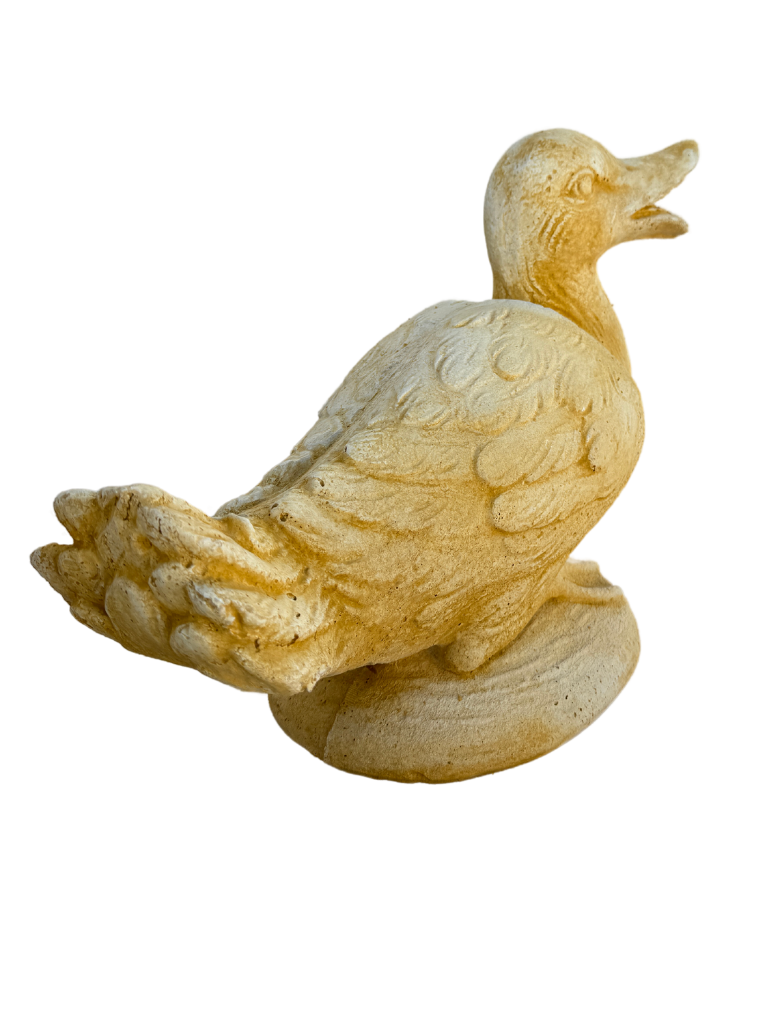 Oca Seduta - Notaro Manufatti