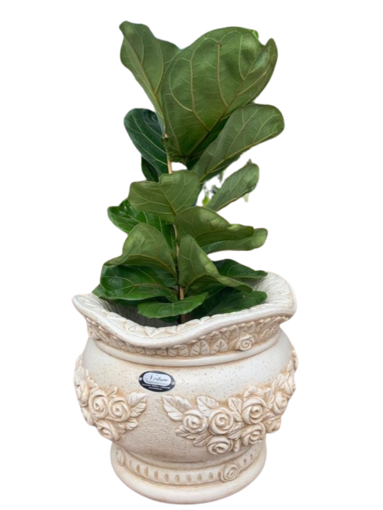 Vaso Sofi' Tondo Anticato Beige - Notaro Manufatti