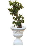 Vaso Quattro Punti - Bianco - Notaro Manufatti