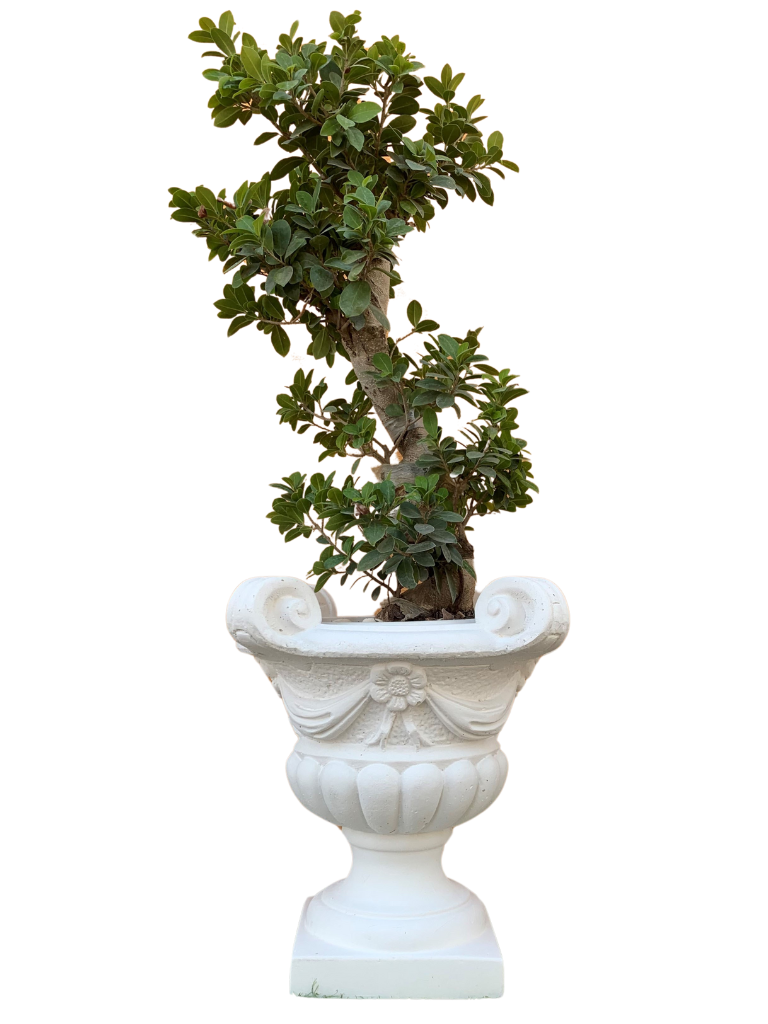 Vaso Quattro Punti - Bianco - Notaro Manufatti