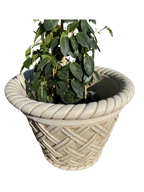 Vaso Renazzo Tondo Grande Anticato Beige - Notaro Manufatti