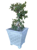 Vaso Quadrato Vimini con piedi - Grigio - Notaro Manufatti
