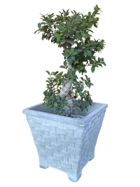 Vaso Quadrato Vimini in Cemento Decorativo per Interni ed Esterni Made in Italy