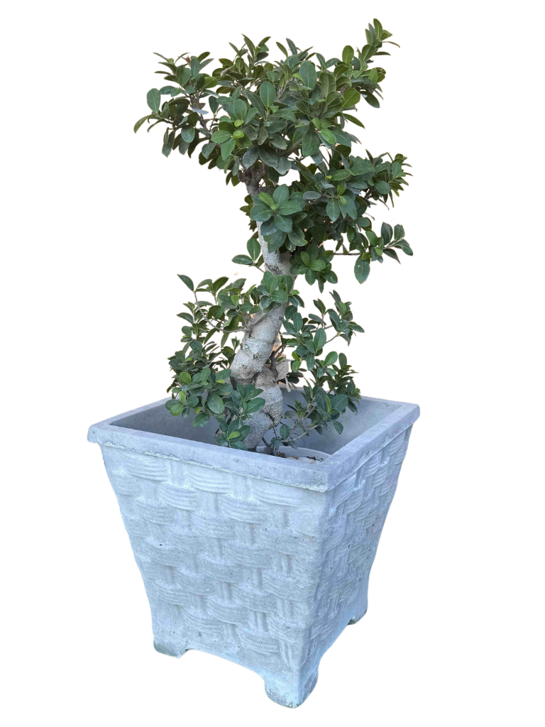 Vaso Quadrato Vimini con piedi - Grigio - Notaro Manufatti