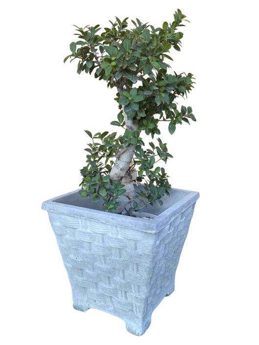 Vaso Quadrato Vimini con piedi - Grigio - Notaro Manufatti