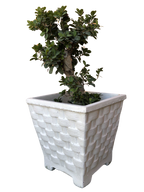 Vaso Quadrato Vimini con piedi - Bianco - Notaro Manufatti