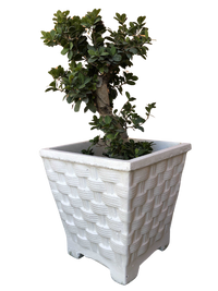 Vaso Quadrato Vimini con piedi in cemento Bianco