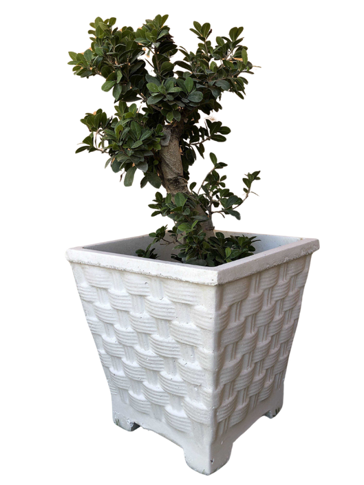 Vaso Quadrato Vimini con piedi - Bianco - Notaro Manufatti