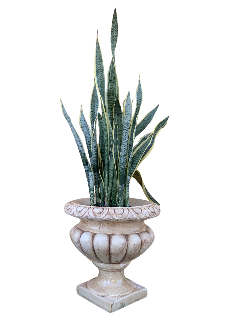 Vaso Ciano Anticato Marrone - Notaro Manufatti
