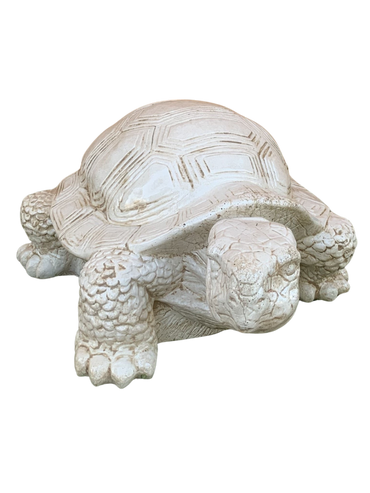 Tartaruga Cinese Media - Notaro Manufatti