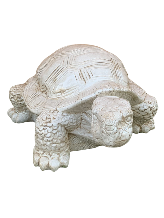 Tartaruga Cinese Media - Notaro Manufatti