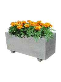 NatureLine 100 in Cemento Grigio - Vaso Rettangolare in Cemento: Eleganza e Robustezza per i Tuoi Spazi Verdi