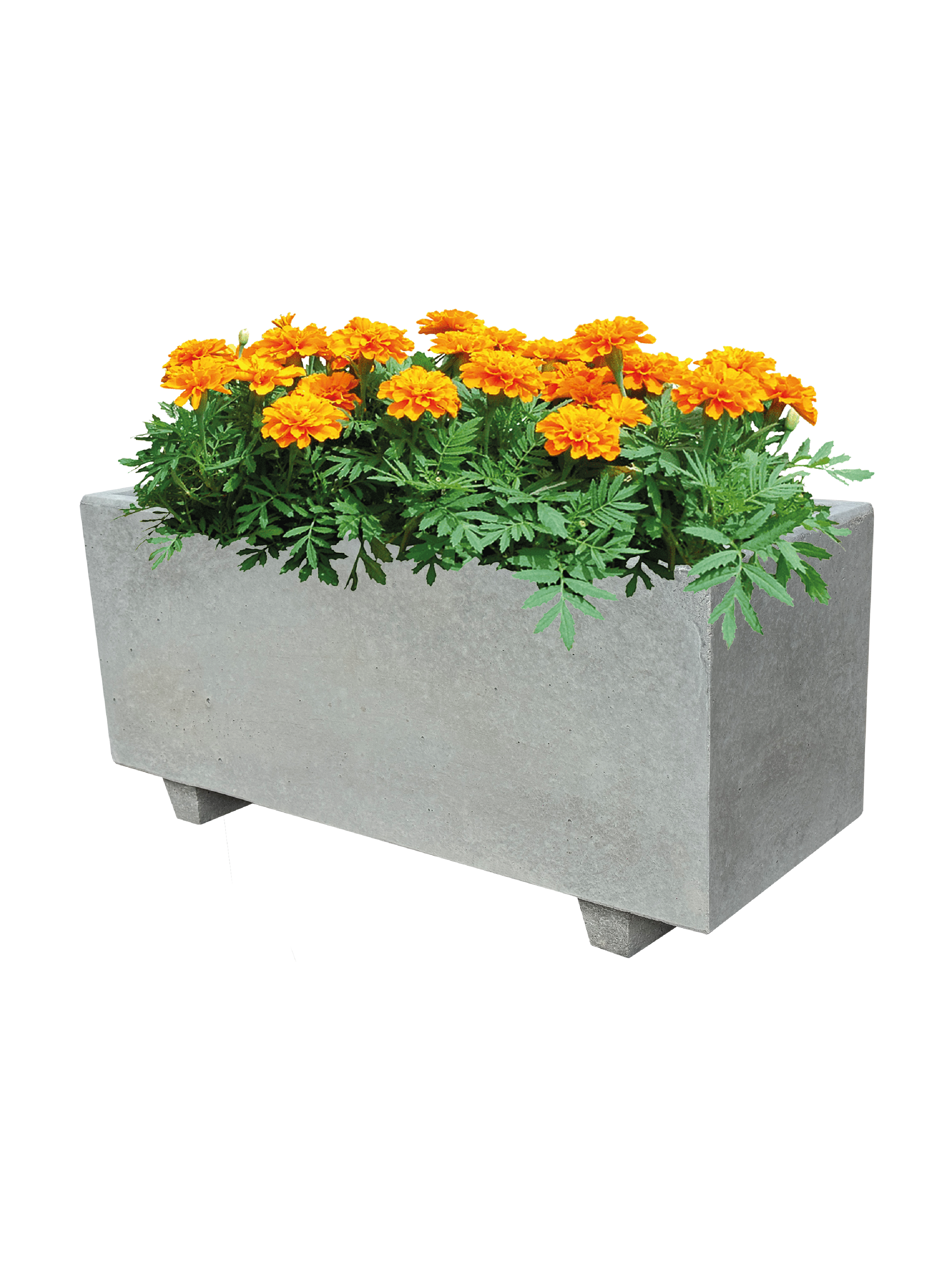 NatureLine 100 in Cemento Grigio - Vaso Rettangolare in Cemento: Eleganza e Robustezza per i Tuoi Spazi Verdi - Notaro Manufatti