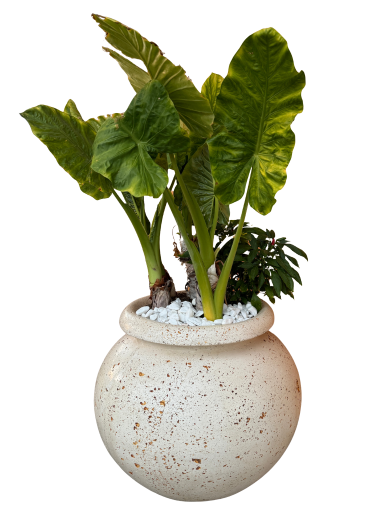 Vaso Giara Grande in Effetto Travertino - Notaro Manufatti