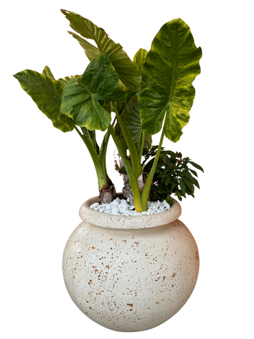 Vaso Giara Grande in Effetto Travertino - Notaro Manufatti