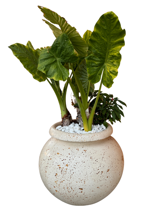 Vaso Giara Grande in Effetto Travertino - Notaro Manufatti