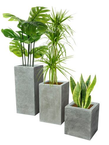 NOOR Living - Vaso per piante Woody, in cemento, rettangolare, effetto legno, 23 x 11 x 11 cm NOOR Living - Vaso per piante Woody, in cemento, rettangolare, effetto legno, 23 x 11 x 11 cm