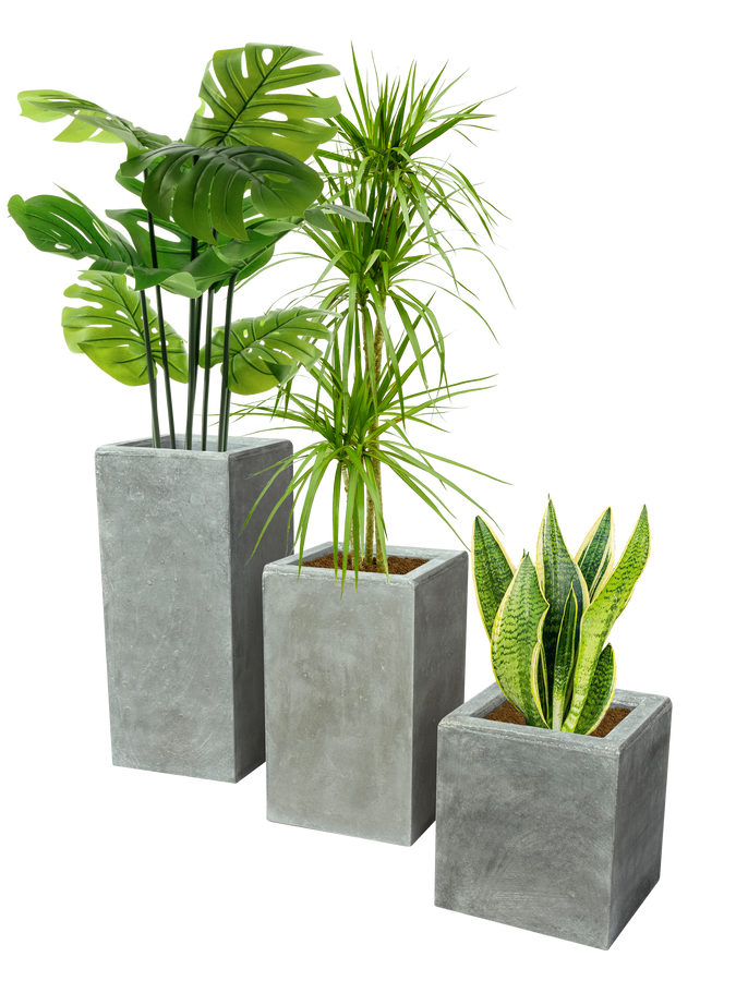 Vaso Alto Nik Cemento Grigio – Fioriera Moderna Effetto Industriale