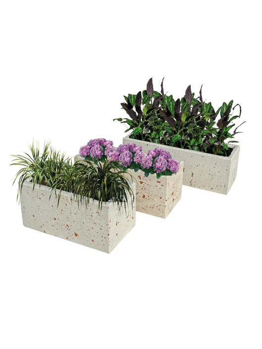 Vasi Pinnetta da 30 - Notaro Manufatti