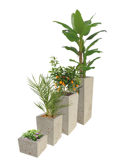 Vasi Prisma - Notaro Manufatti