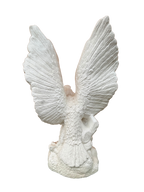 Aquila In Volo - Notaro Manufatti