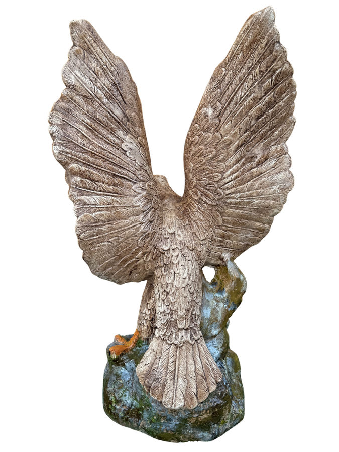 Aquila In Volo