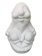 Biancaneve con Sette Nani Picherri - Notaro Manufatti