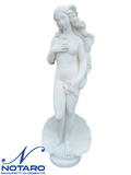 Statua della Venere di Botticelli in Cemento - Notaro Manufatti