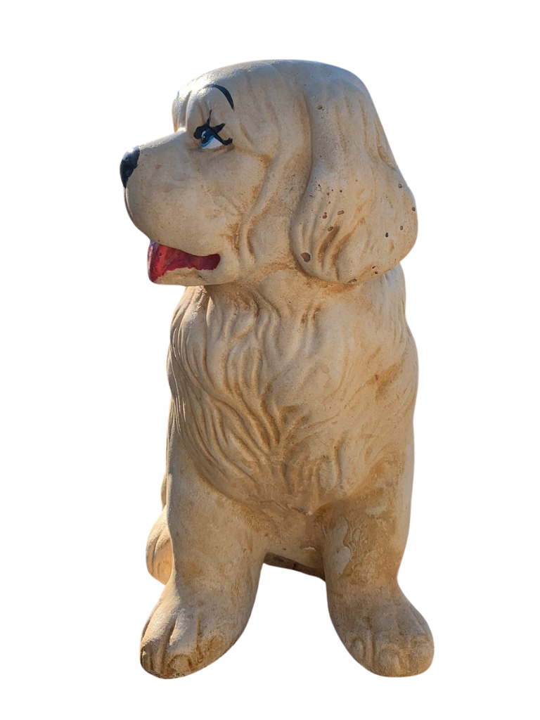 Cane San Bernardo - Notaro Manufatti