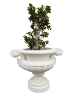 Vaso Loiano In Cemento - Bianco - Notaro Manufatti